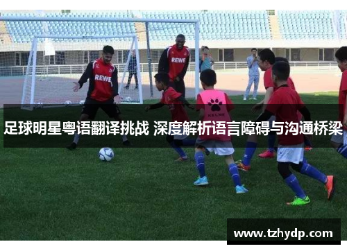 足球明星粤语翻译挑战 深度解析语言障碍与沟通桥梁