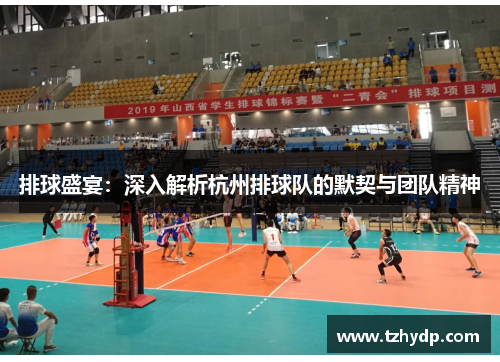 排球盛宴：深入解析杭州排球队的默契与团队精神