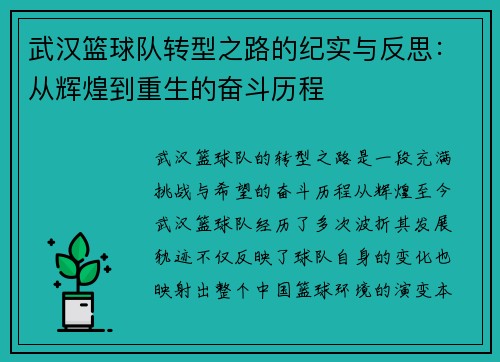 武汉篮球队转型之路的纪实与反思：从辉煌到重生的奋斗历程