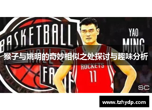 猴子与姚明的奇妙相似之处探讨与趣味分析