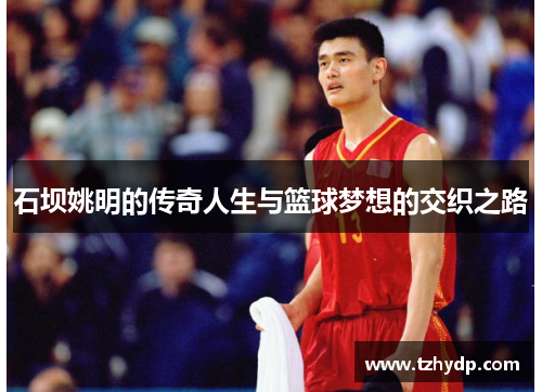石坝姚明的传奇人生与篮球梦想的交织之路