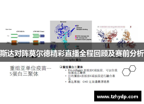 斯达对阵莫尔德精彩直播全程回顾及赛前分析